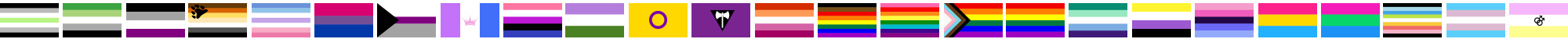 LGBTQIA Pride Flags
